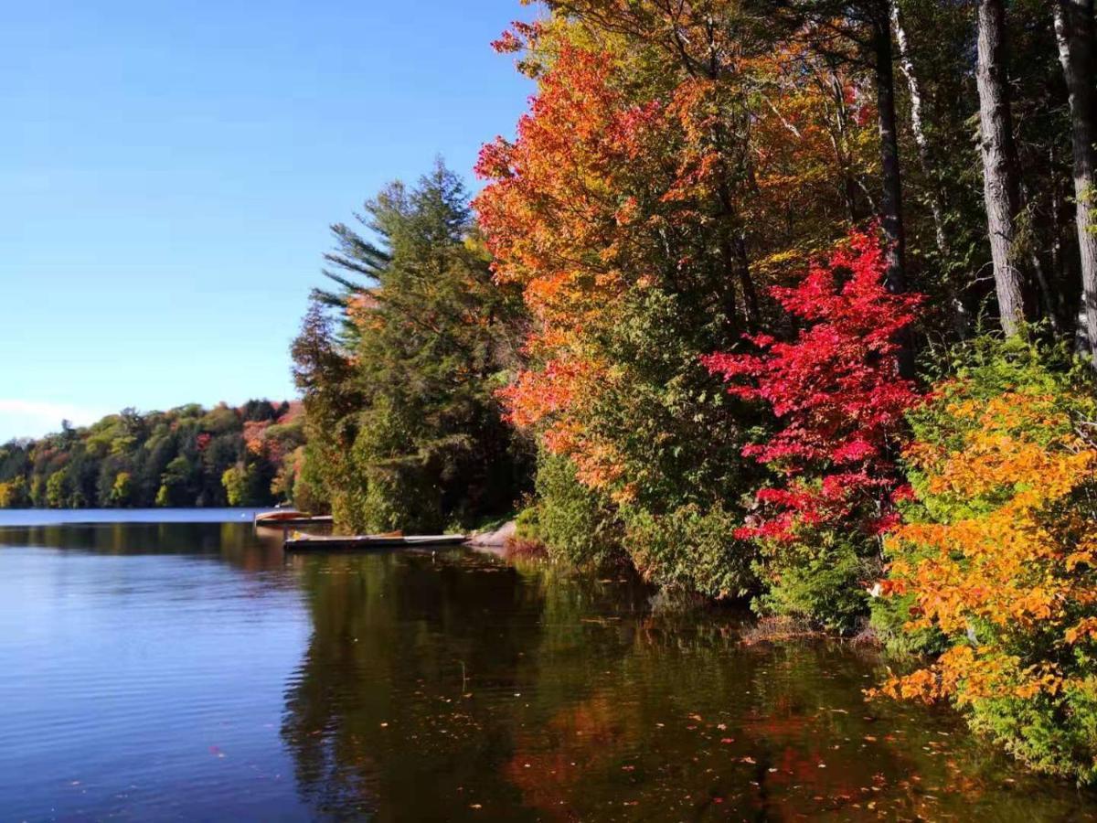 Sunny Point Resort Otter Lake Kültér fotó