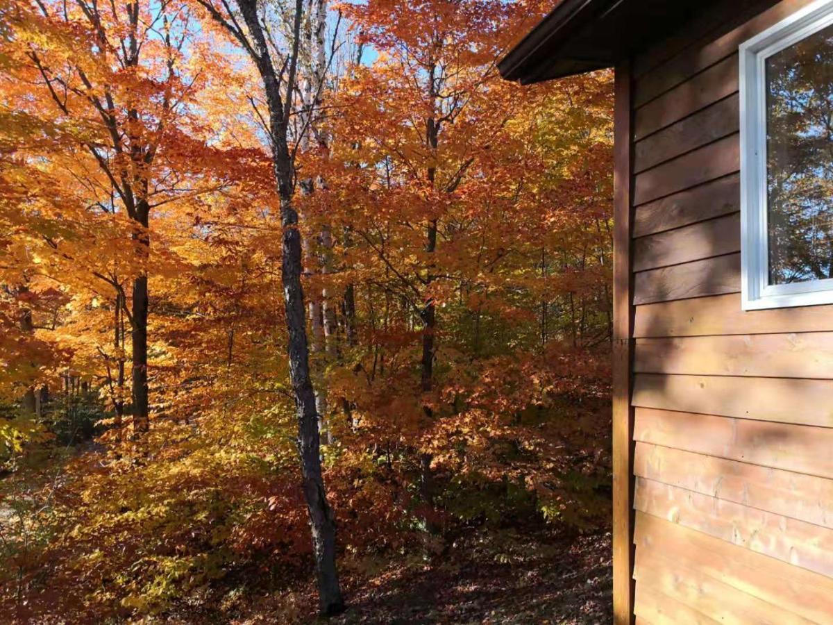 Sunny Point Resort Otter Lake Kültér fotó